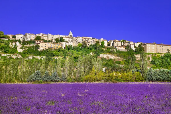 Sault stad i Provence och blommande lavande fält — Stockfoto