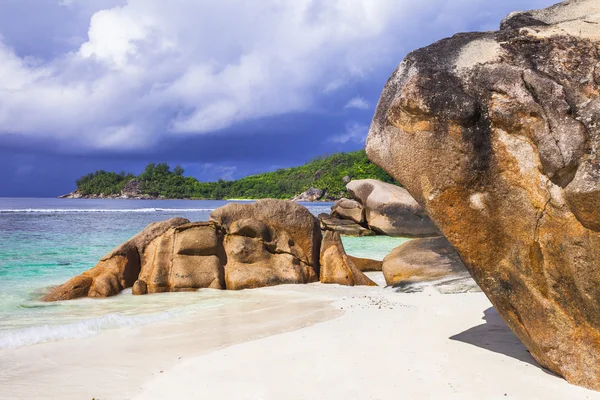 Nature sauvage tropicale - plages des îles Seychelles — Photo