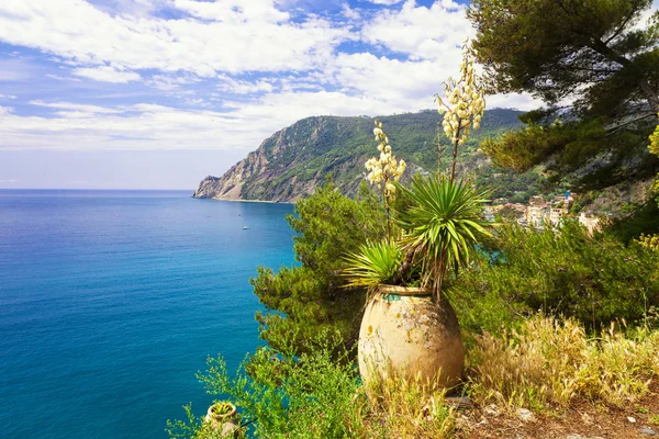 Monterosso al mare, Cinque terre — Fotografie, imagine de stoc
