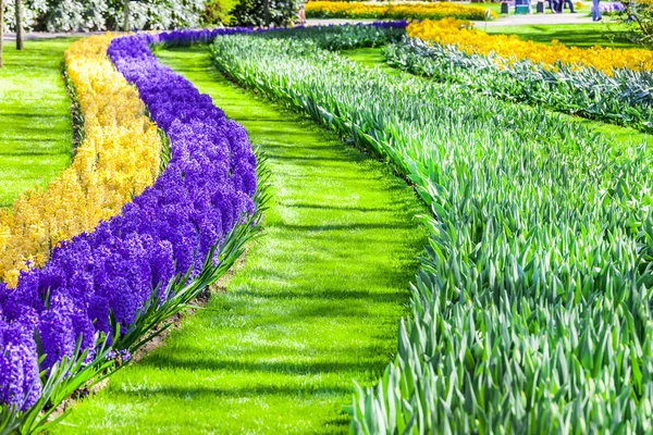 Beautiful floral decoration in Keukenhof park in Holland — Stock Photo, Image