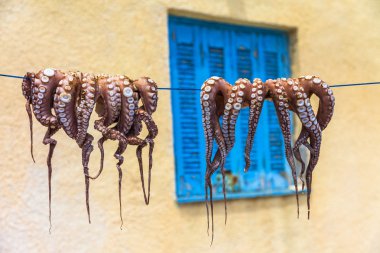 traditions of Greek cuisine - octopus drying in sun clipart