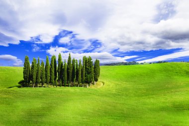 Minimalizm doğa - yeşil Hills vall d'Orcia, Toskana, İtalya