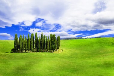 Minimalism in nature - green hills of vall d'Orcia, Tuscany, Italy clipart