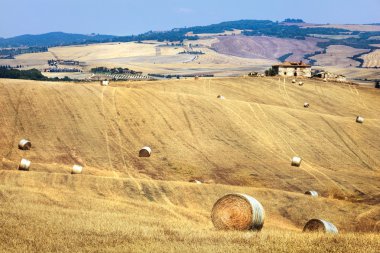 kırsal manzara Toskana, Val d'Orcia, İtalya