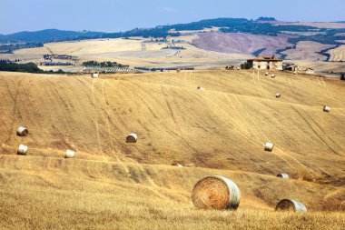 Rural landscapes of Tuscany , Val d'Orcia, Italy clipart