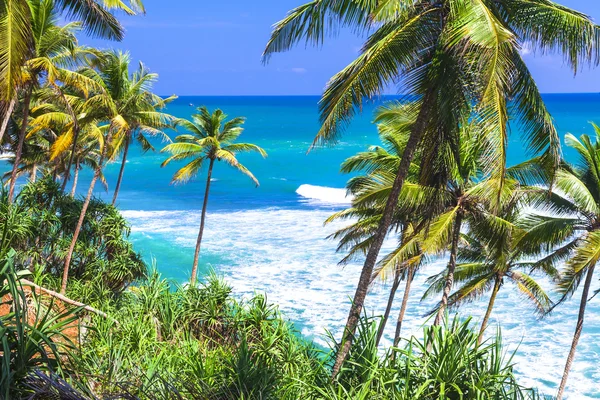 Sri Lanka'nın vahşi güzel plajları — Stok fotoğraf