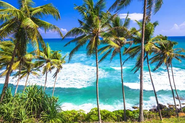 Belas praias selvagens do Sri Lanka — Fotografia de Stock