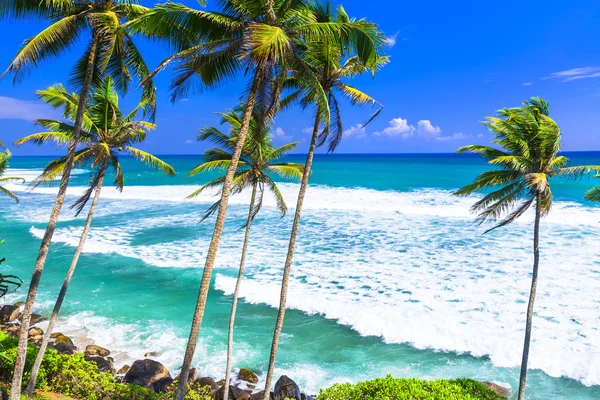 Wild prachtige stranden van Sri Lanka — Stockfoto