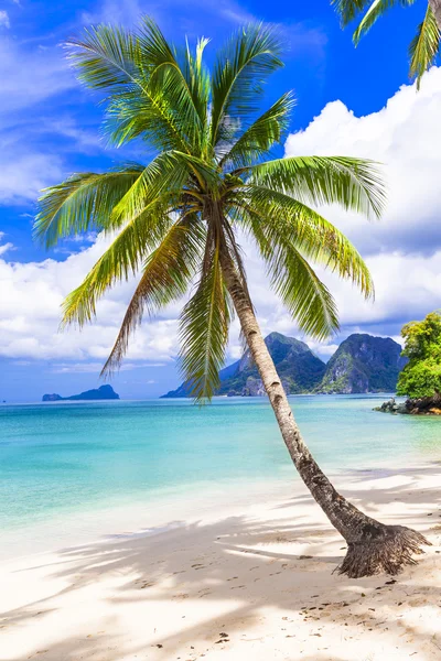 tropik cennet plaj, Palawan, Filipinler