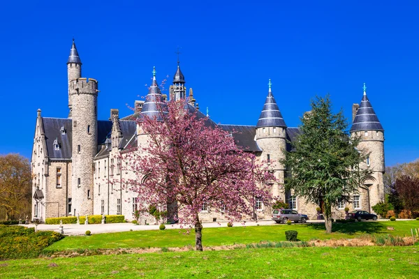 Castillos de Bélgica - Marix, Bornem —  Fotos de Stock