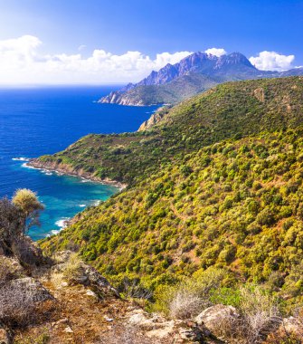 Corsica Adası'nın etkileyici doğa