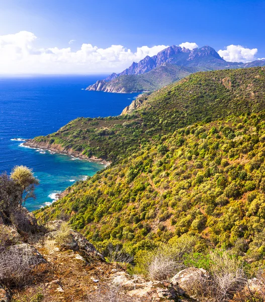 Imponerande natur av Korsika ön — Stockfoto