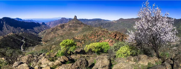 Piękno przyrody Gran Canaria — Zdjęcie stockowe