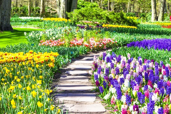 Keukenhof castle in Lisse, Holland — Stock Photo, Image