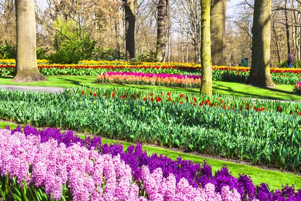 Κάστρο Keukenhof σε Lisse, Ολλανδία — Φωτογραφία Αρχείου