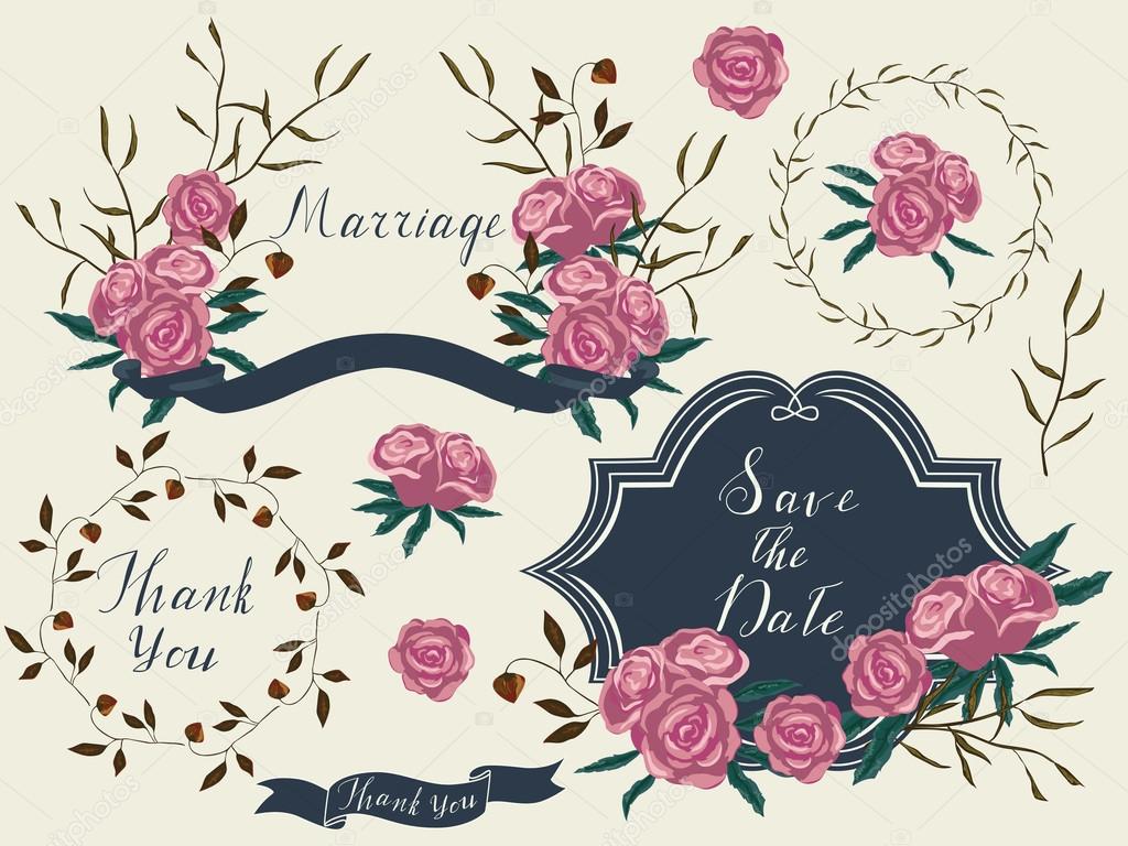    Vector wedding set, floral elements, borders, ribbons