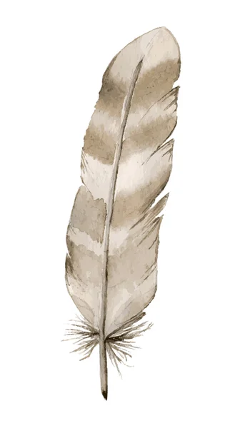 Plume d'aquarelle sur fond blanc — Image vectorielle