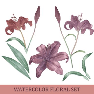 suluboya çiçek kümesi