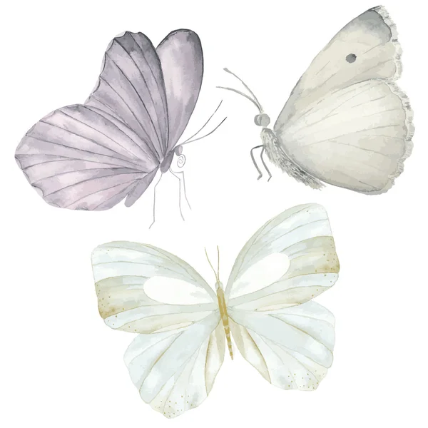 Aquarell-Schmetterlinge gesetzt — Stockvektor