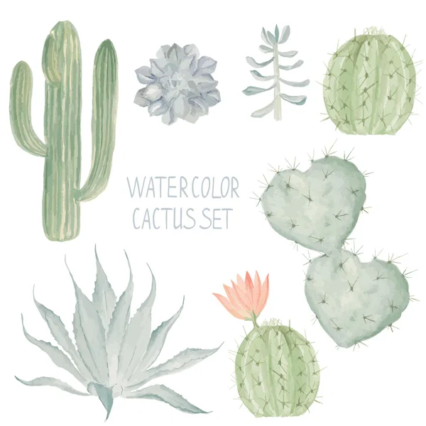 Conjunto de cactos. Coleção suculenta aquarela — Vetor de Stock