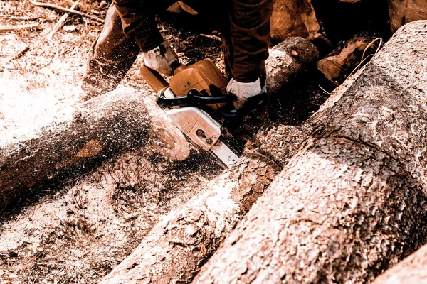 Adam onun arka bahçesinde bir günlük kesme tezgahlar — Stok fotoğraf