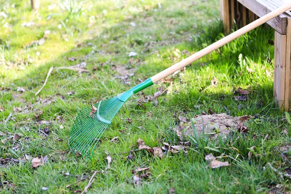 Râteau vert sur l'herbe — Photo