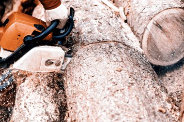 adam onun arka bahçesinde bir günlük kesme tezgahlar