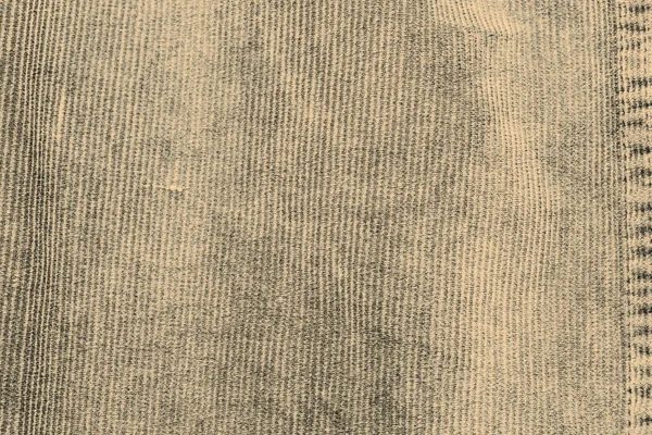 Texture corduroy — Stock Photo, Image