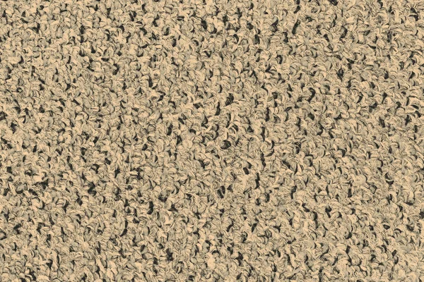 灰色地毯 — 图库照片