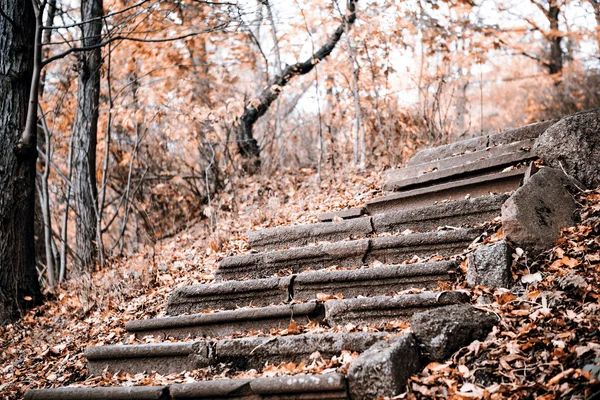 Vecchia scala in pietra in autunno — Foto Stock