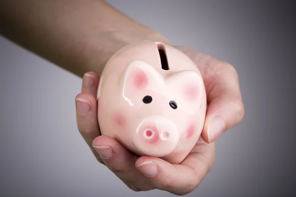 Pig money box in woman hand — Stock Photo, Image