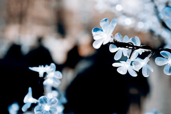 Muovinen kukka — kuvapankkivalokuva