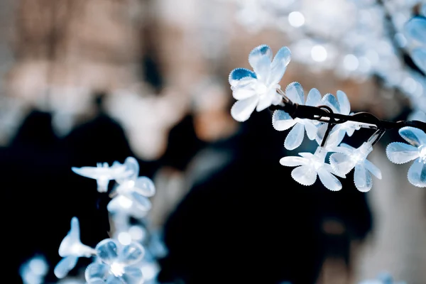 Plastic flower — Stock Photo, Image