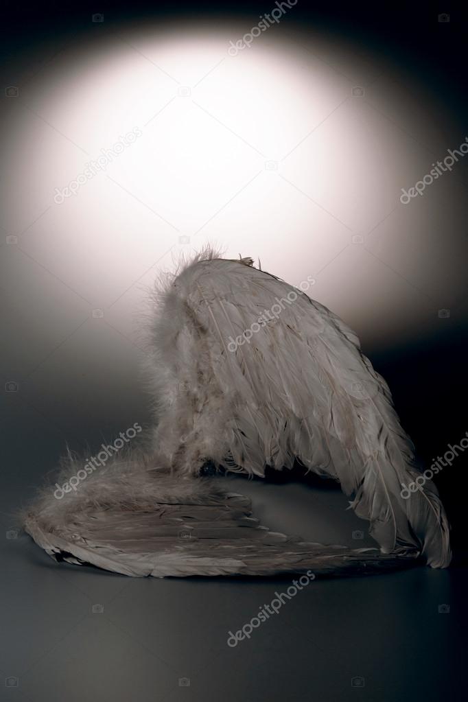 angel's wings on white background with glow