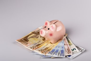 domuz banka euro banknot üzerinde