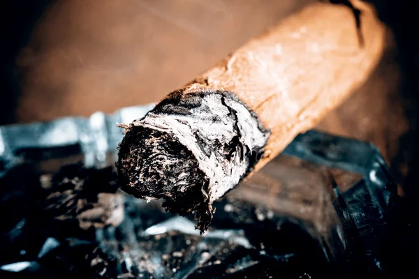 Teure handgedrehte Zigarre auf einer Weile Hintergrund — Stockfoto