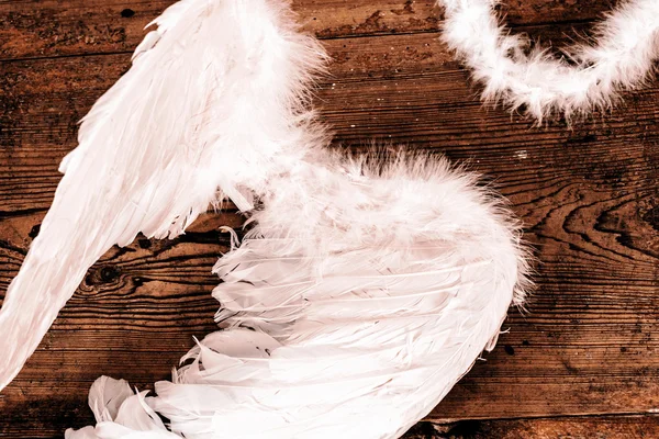 Angel wings — Stock Photo, Image