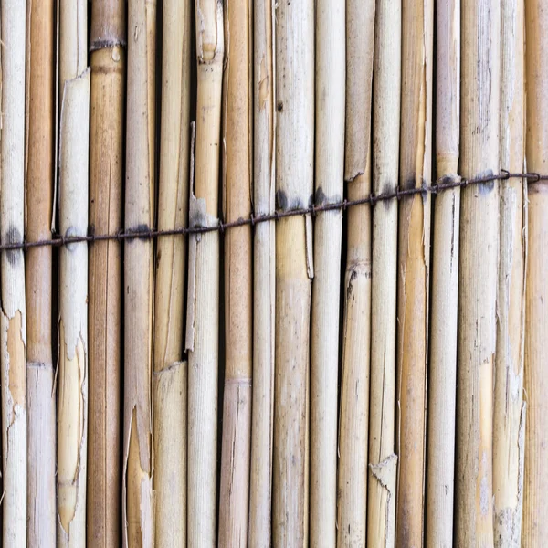 Güzel kare bambu doku — Stok fotoğraf