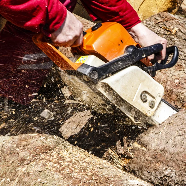 Man sawing a log in his back yard — Stock Photo, Image