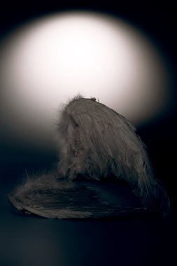 meleğin kanatları beyaz zemin üzerine kızdırma