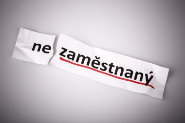 word işsiz'çek istihdam değiştirildi