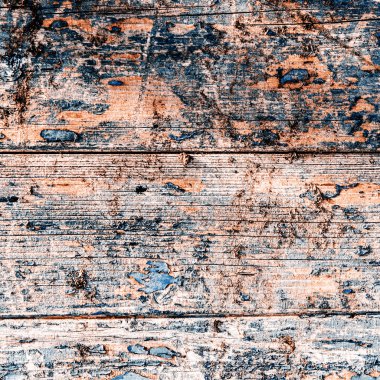 renk-kabuğu ahşap doku doğal desenleri ile