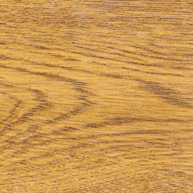 白い背景の上のゴム製スタンプ ベクトルのグリーンはい