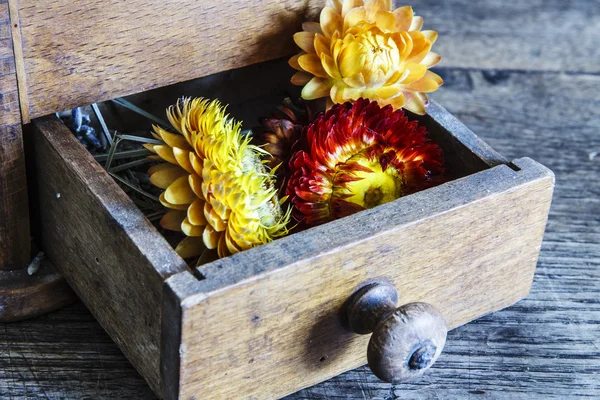 Vintage wooden coffee mill grinder with yellow flowers in open drawer — Stock Photo, Image