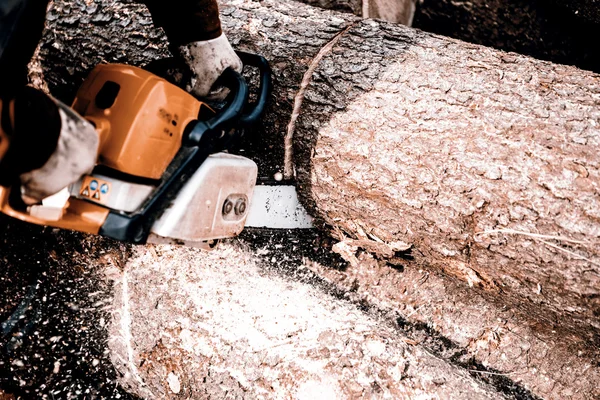 Homem a serrar um tronco no quintal — Fotografia de Stock