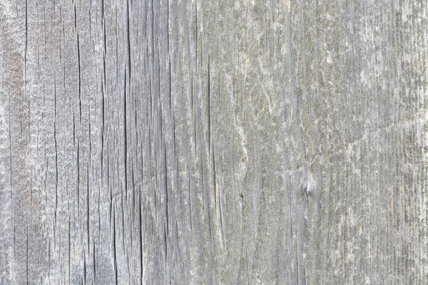 Beautiful grey and white wooden texture or background — Stock Photo, Image