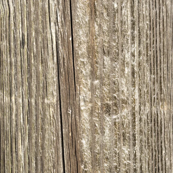 Hermosa textura de madera marrón o fondo —  Fotos de Stock