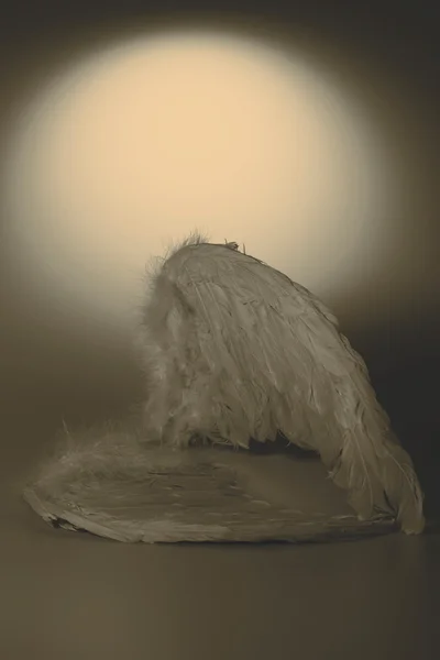 Ангельські крила на білому тлі з сяйвом — стокове фото