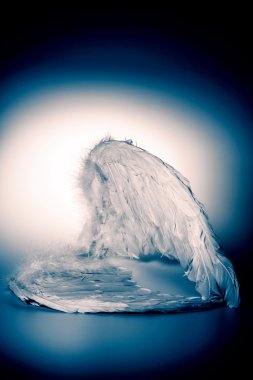 meleğin kanatları beyaz zemin üzerine kızdırma