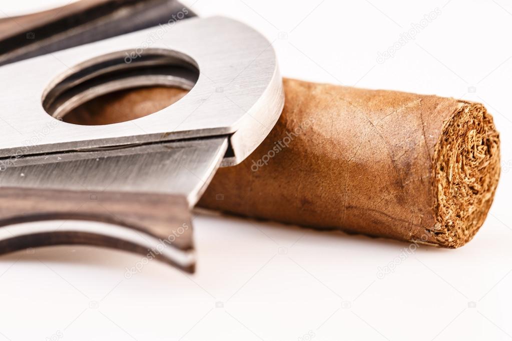 Cigar and cutter on a white background